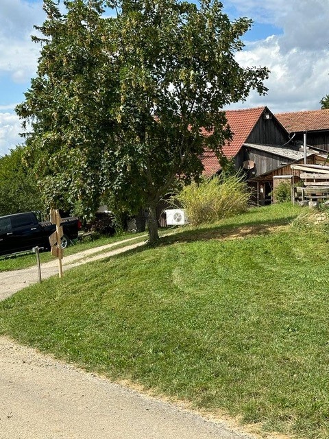 Texas Longhorn Ranch