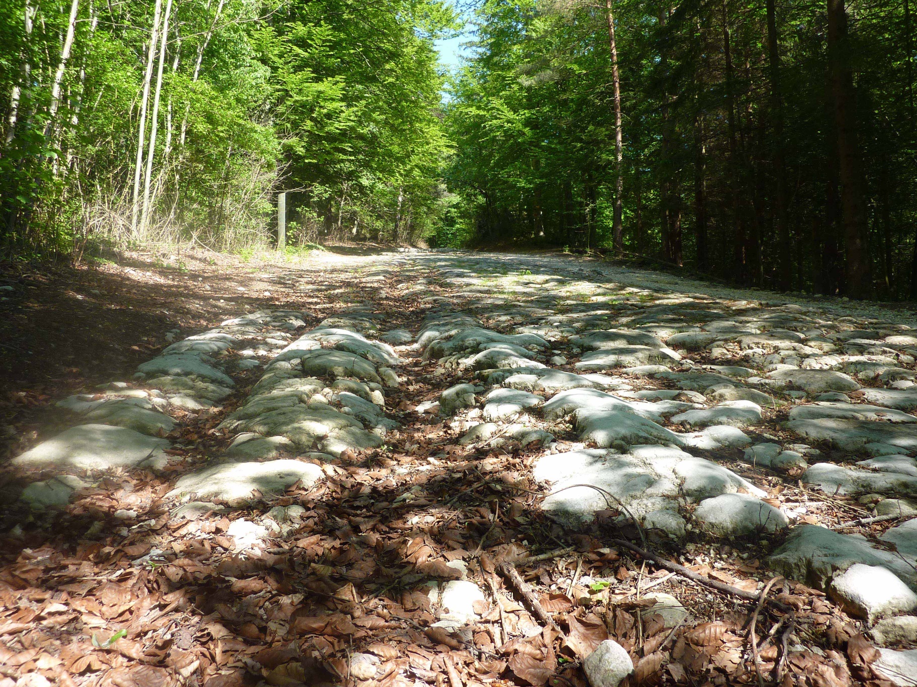 Roman road above Holderbank