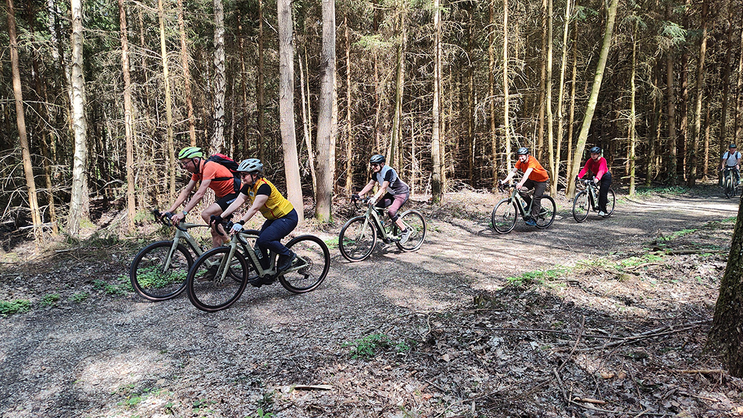 mys-E-Mountainbike-Miete-import_0af35beb-082e-4bd7-9f78-0c300082972b.jpg