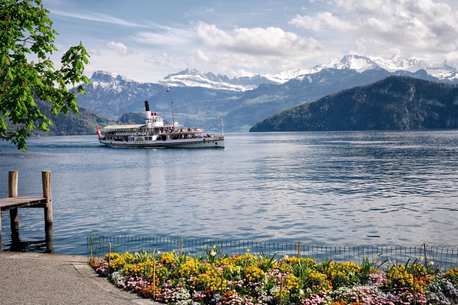 Ein historisches Dampfschiff fährt über den Vierwaldstättersee, im Vordergrund bunte Frühlingsblumen und im Hintergrund schneebedeckte Alpen.
