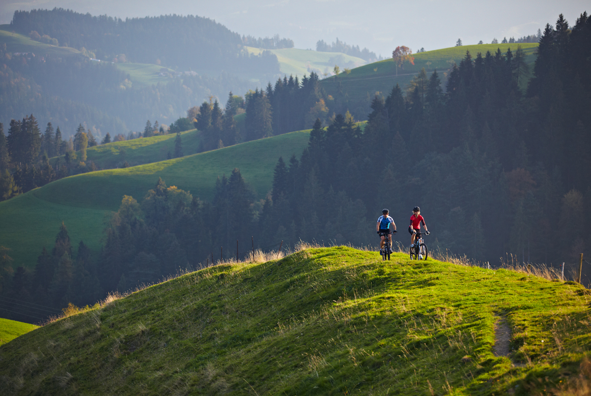 mys-E-Mountainbike Trogen-import_b1ebfffb-64c3-41f8-b983-973880b5b10e.jpg
