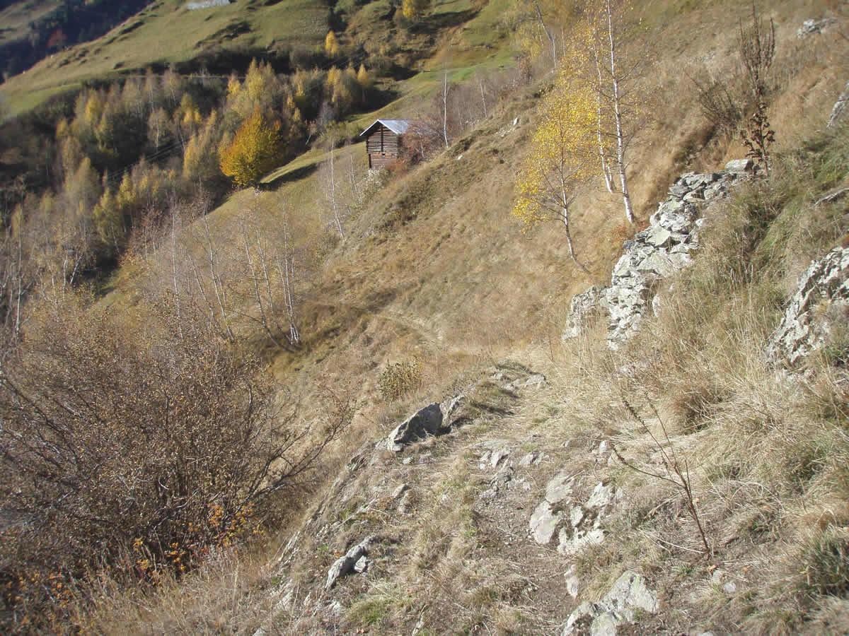 Vom Tavetscher Zwischenmassiv ins Gotthardmassiv