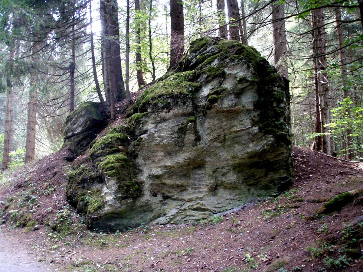 Bergsturzblöcke im Grosswald