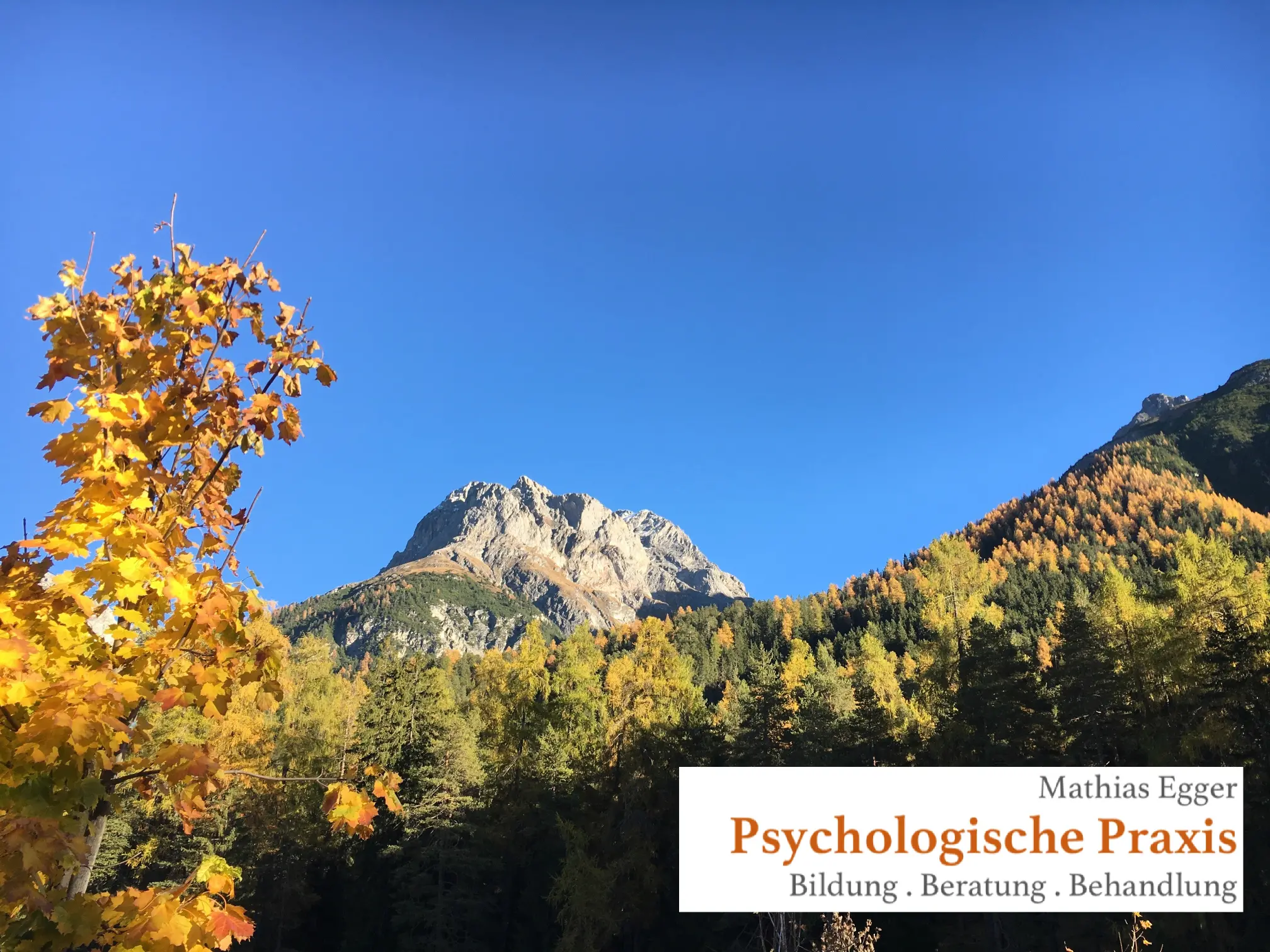 Psychological practice Mathias Egger
