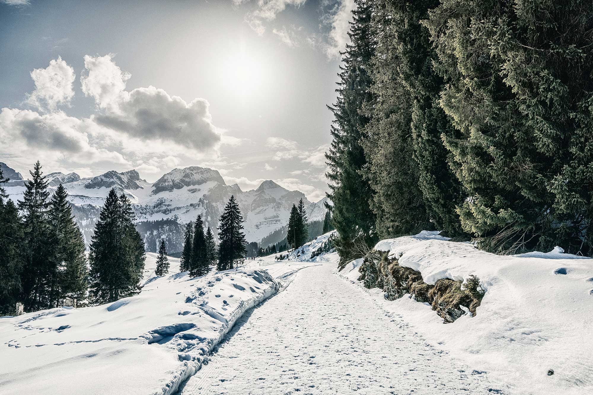 Voralpen-Express ins Winterwunderland