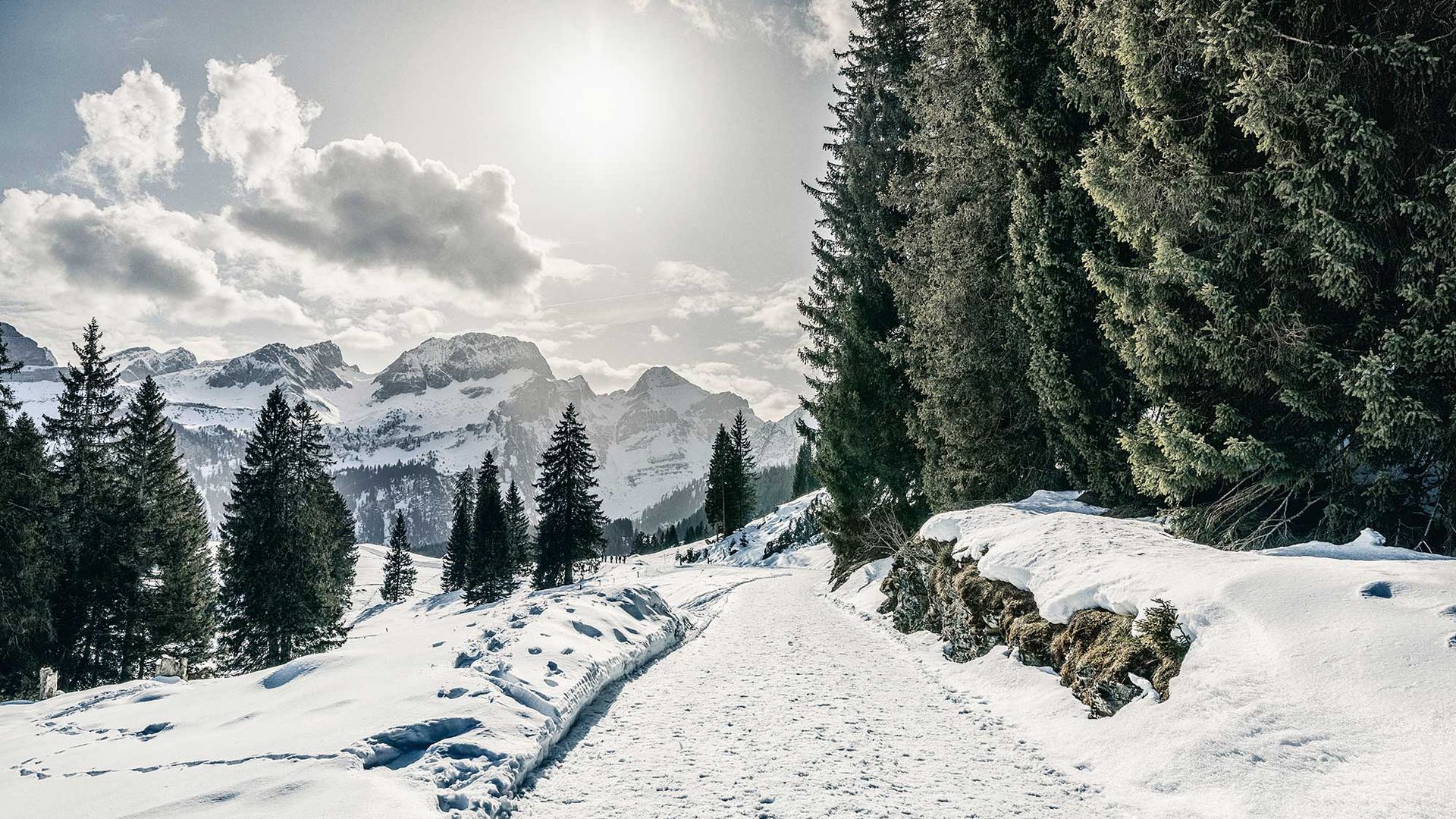 Voralpen-Express ins Winterwunderland