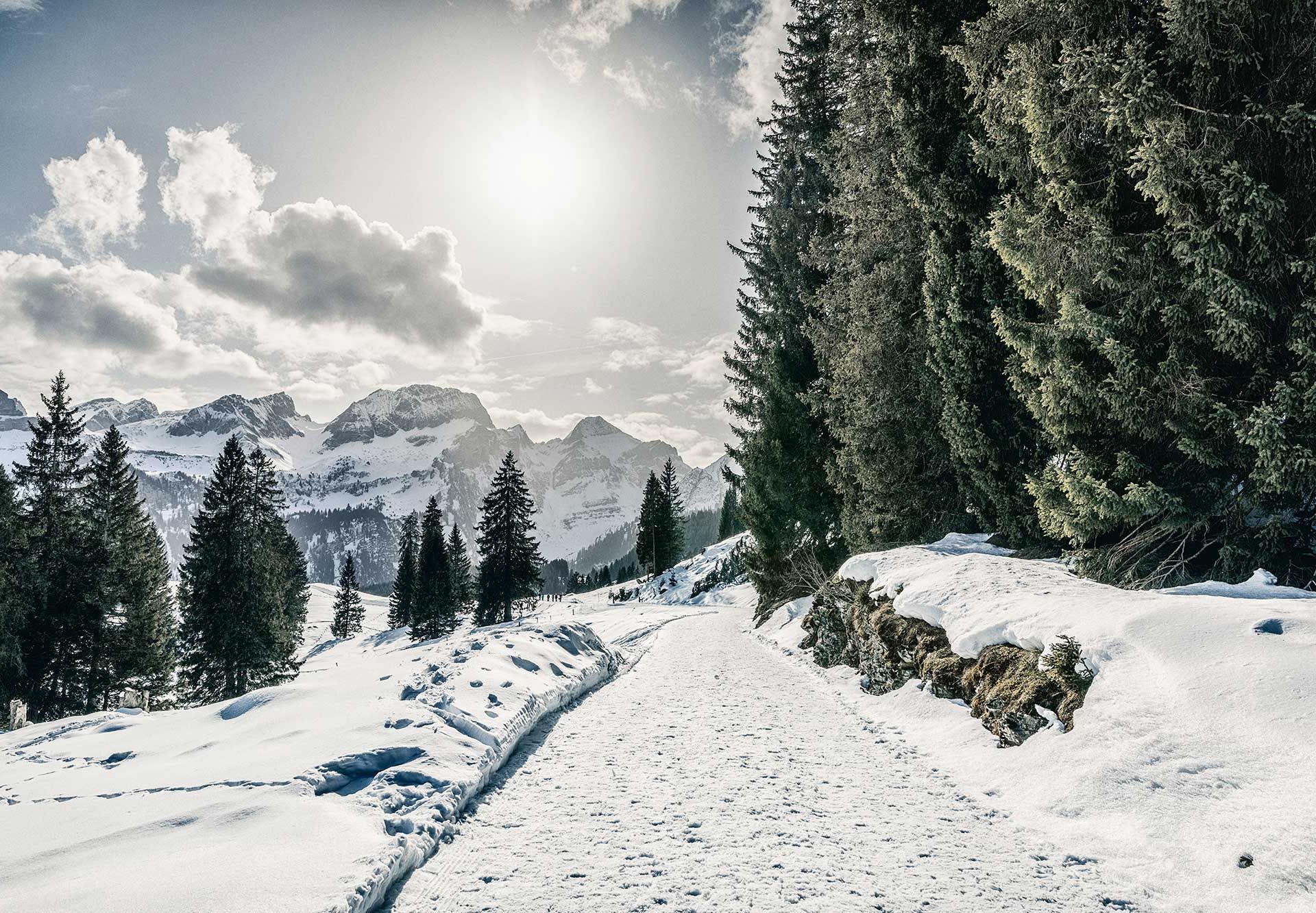 Voralpen-Express ins Winterwunderland