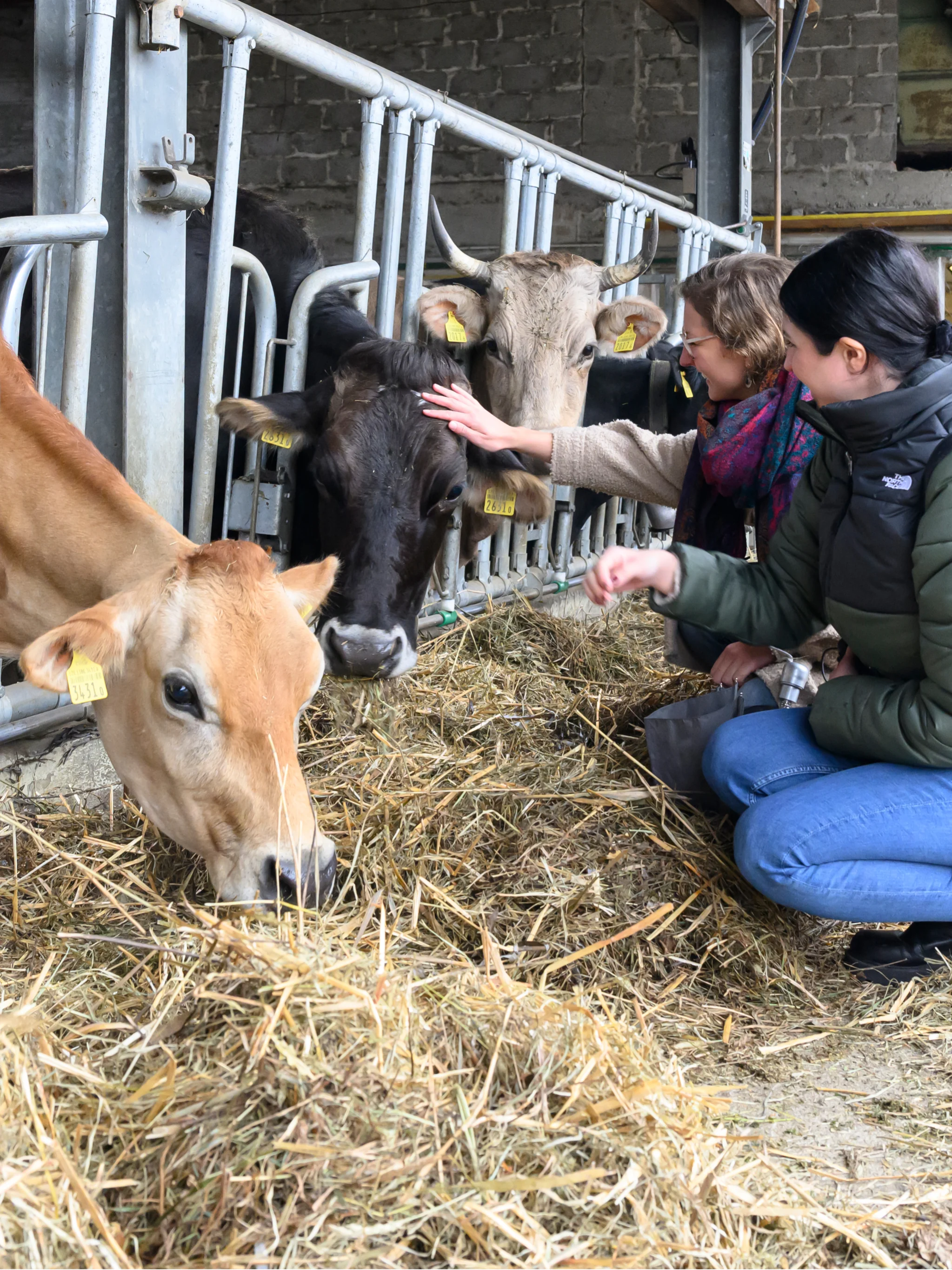 mys-Gusto e natura, un viaggio fra sapori e territorio-Agriesperienza Valle Verzasca