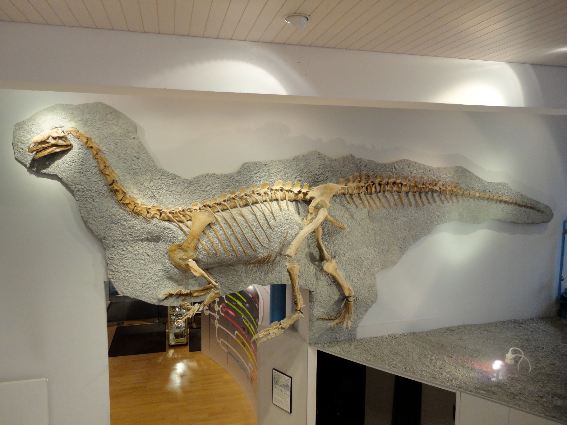 Sauriermuseum & Dinolehrpfad