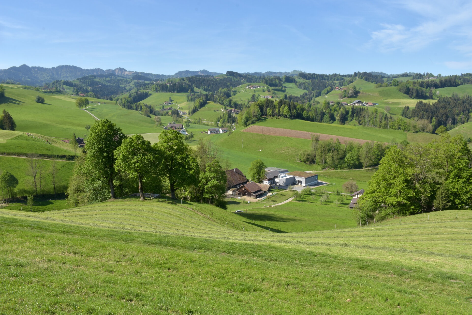 New Napfmilch AG