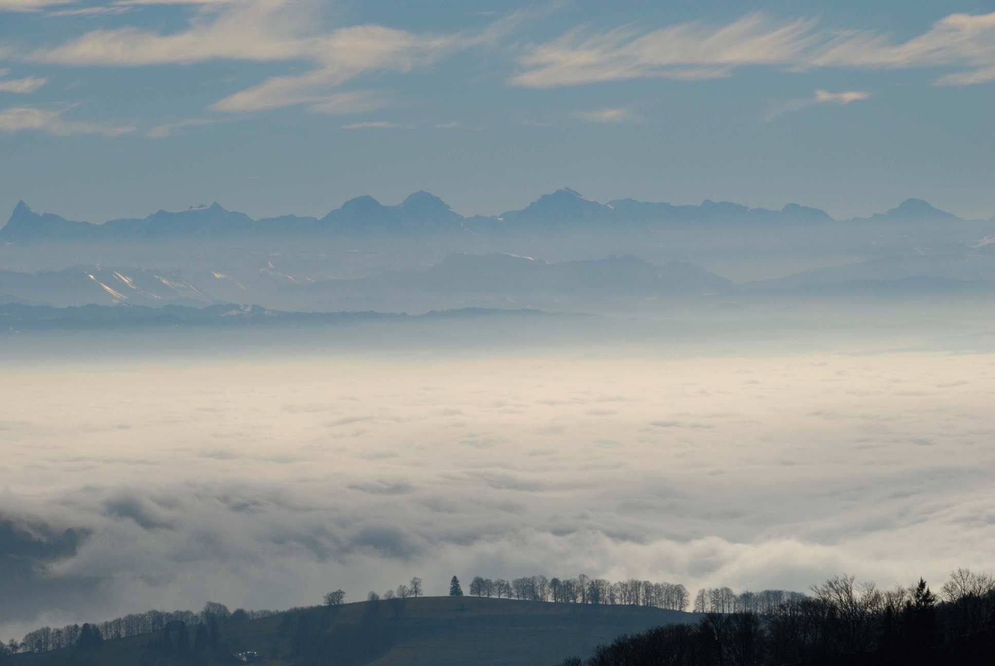 Vogelbergfluh (1204 m ü.M.)