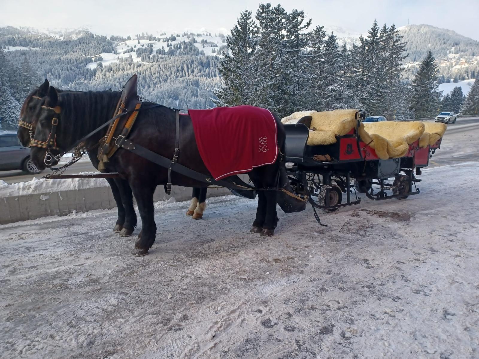 Carriage Ride  Bruno Hassler