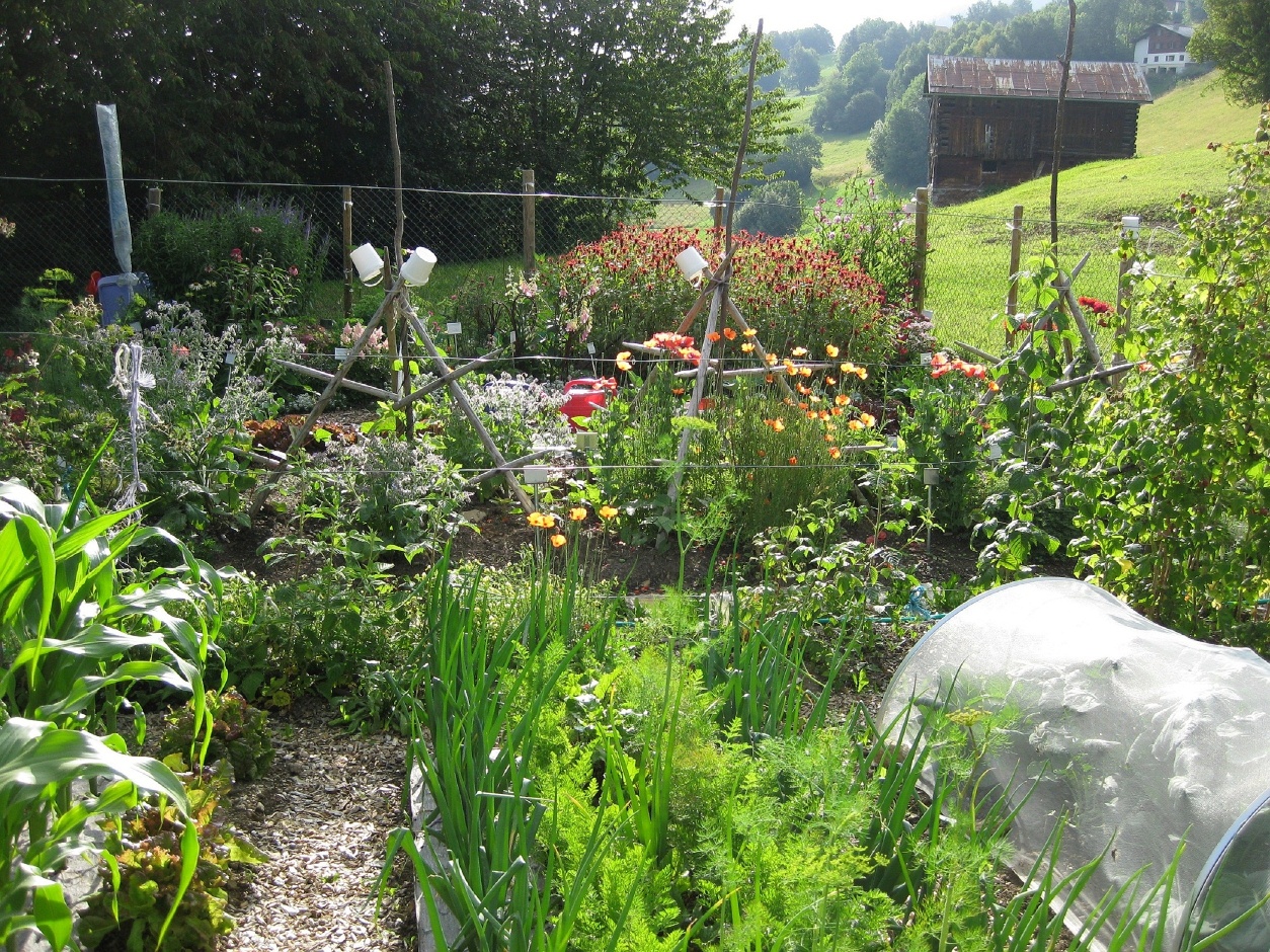 Bauernhof und Schaugarten Schnider, Surcuolm