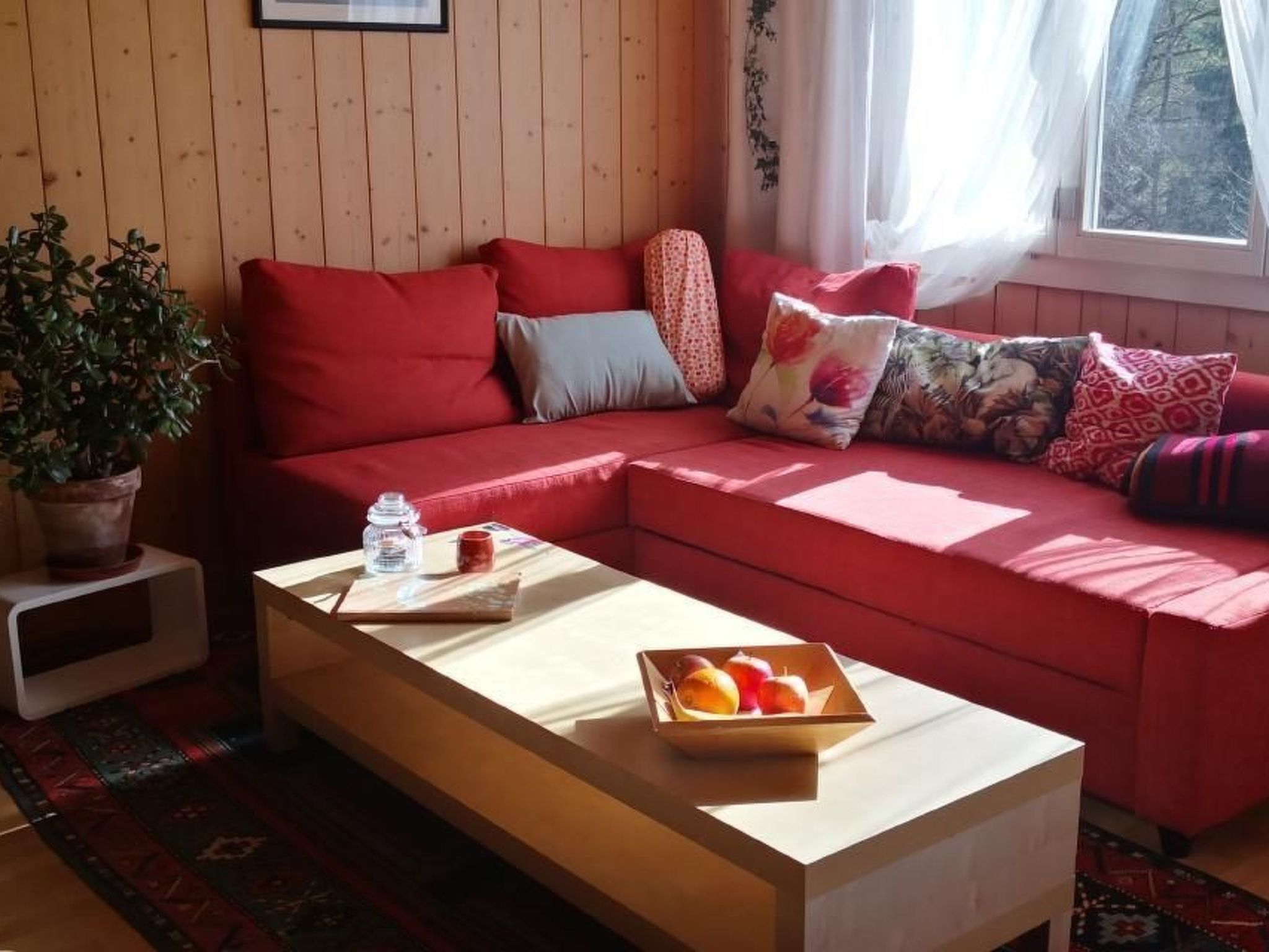 interhome-Karotte