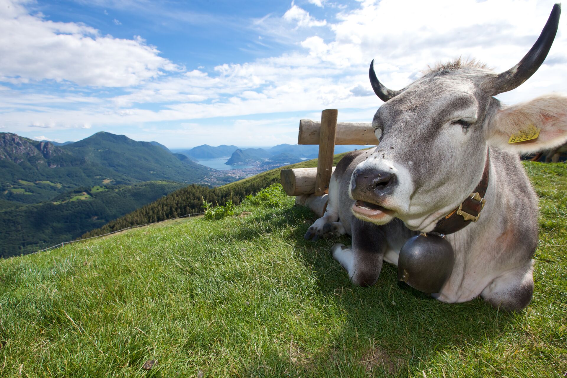 Alpe Rompiago