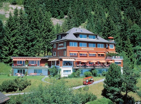 Bergsonne