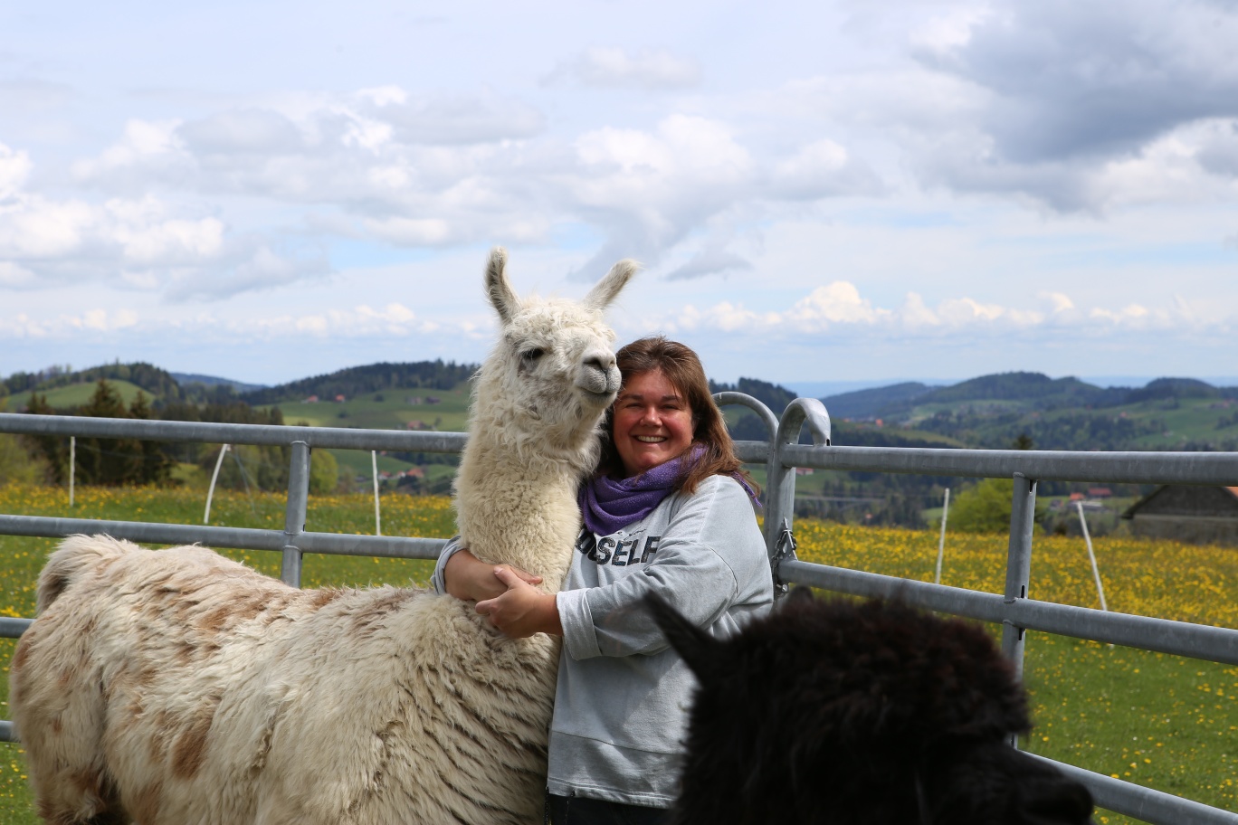 Animal adventure farm - llama trekking