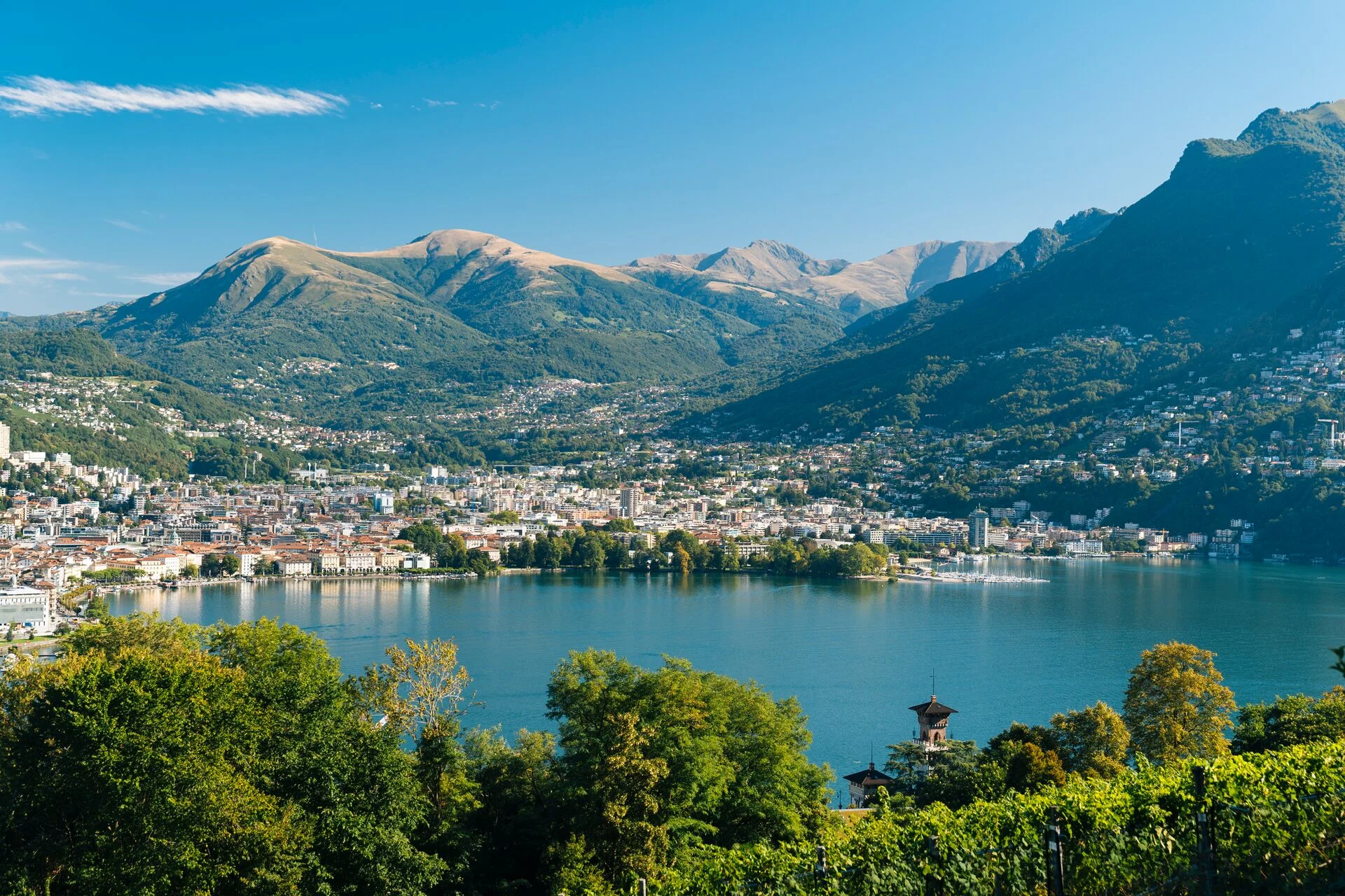 mys-Buono regalo -Copyright: Milo Zanecchia