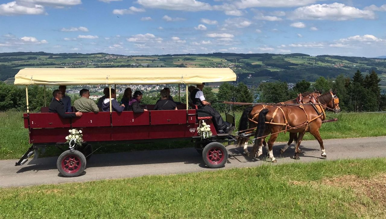 Kutschenfahrten im Seetal: Nostalgische Reisen mit Robert Baumli