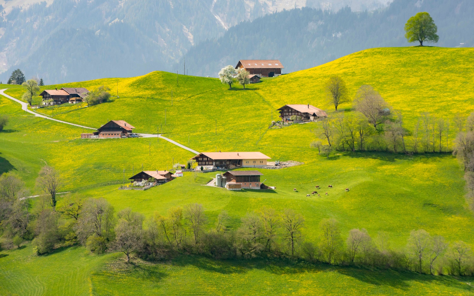 Infostelle Naturpark