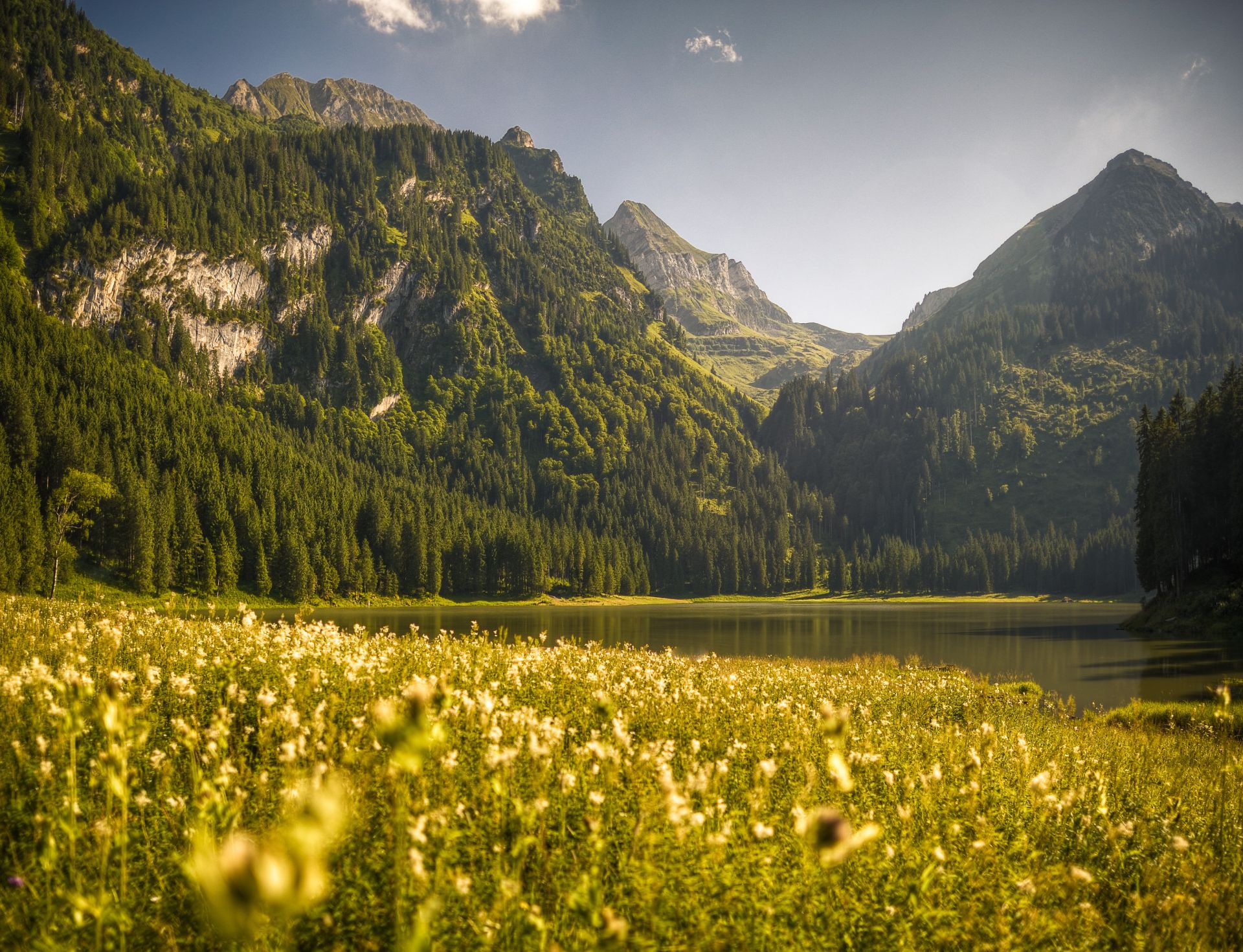 Rheintaler Höhenweg