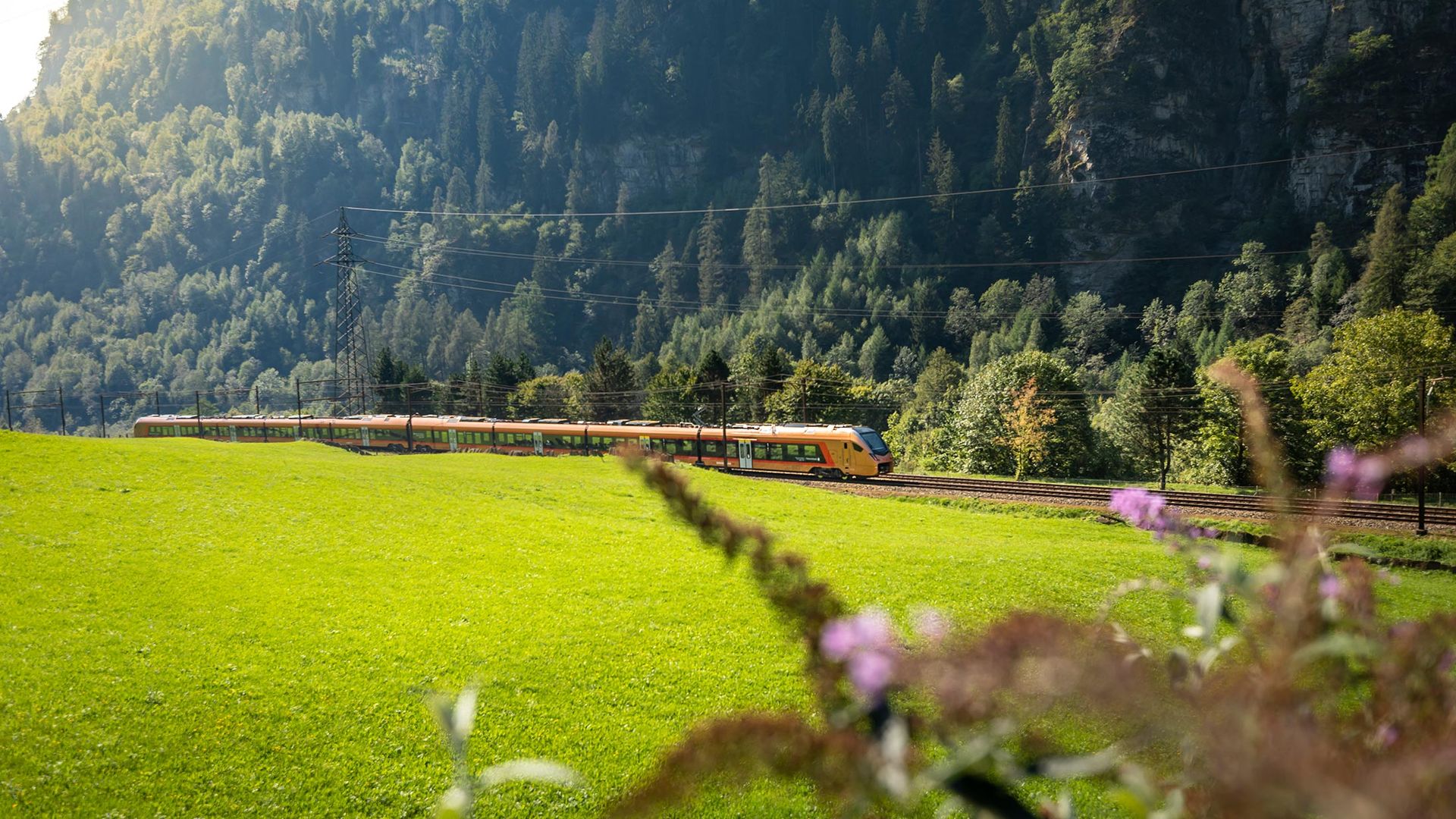 Treno Gottardo in Faido