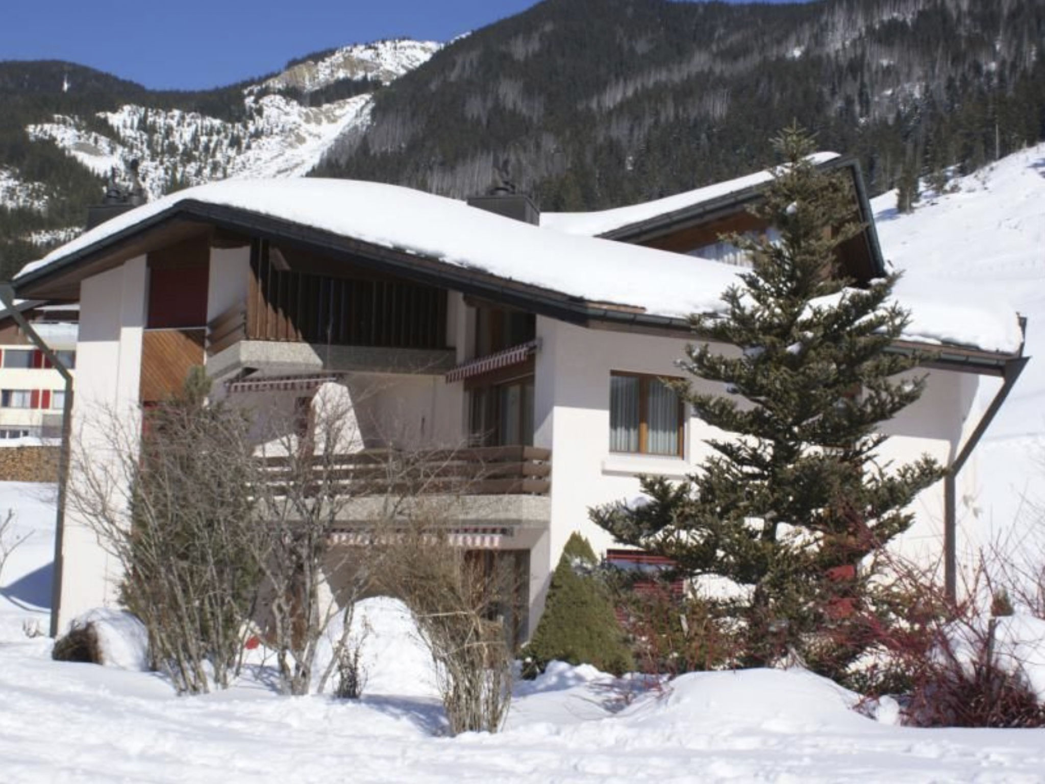 interhome-Birke