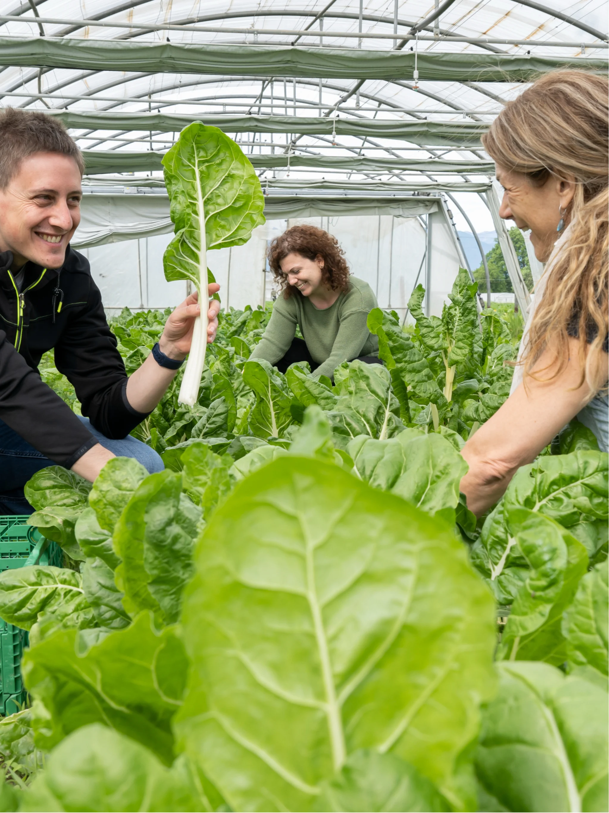 mys-Dalla Terra al Piatto – Un’Esperienza di Raccolta e Cucina alla Fattoria Biologica CatiBio-CatiBio - agriesperienza
