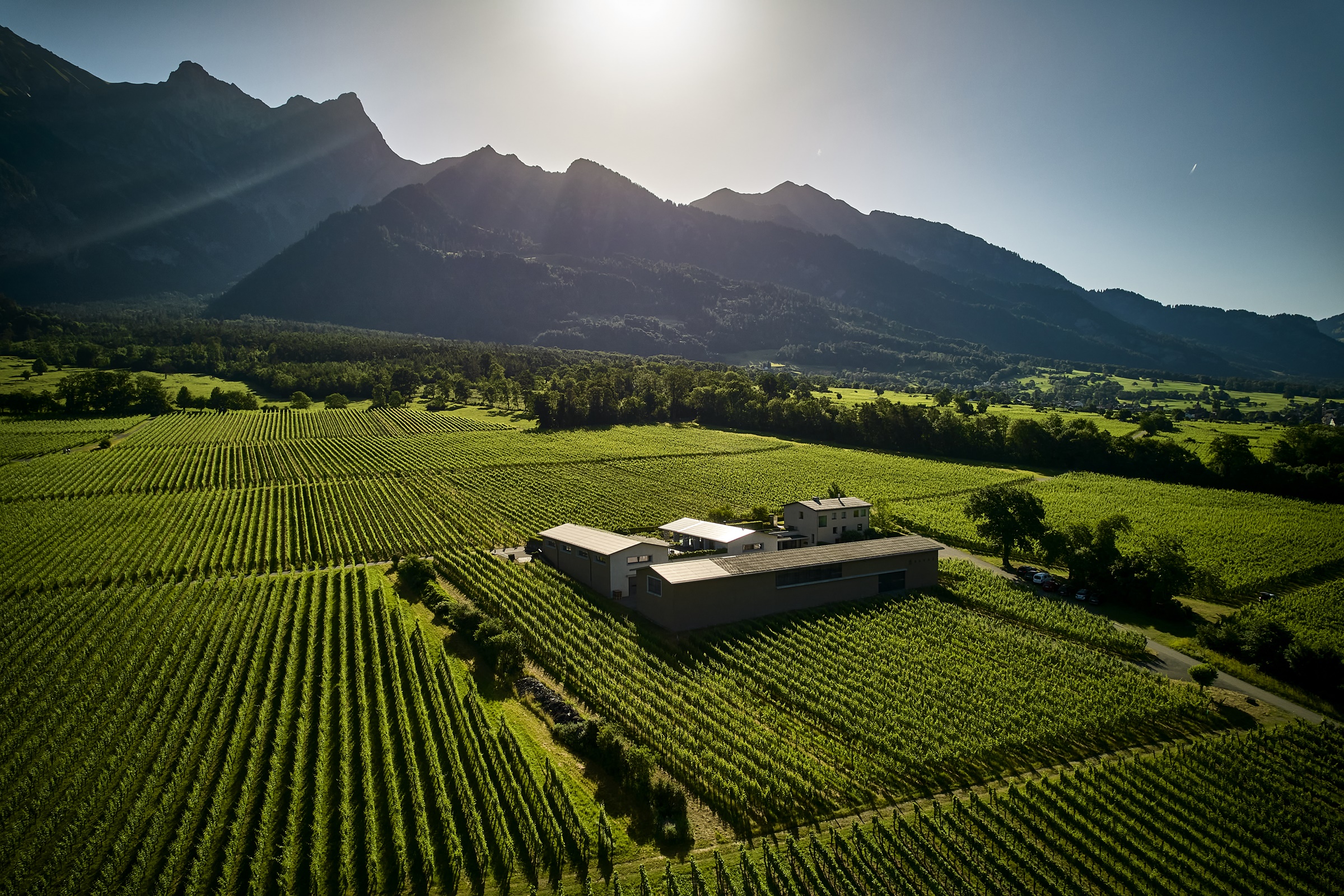 mys-Führung und Degustation im Weingut Davaz-import_6420da0f-555e-483e-b50c-1ce62c35f66e.jpg