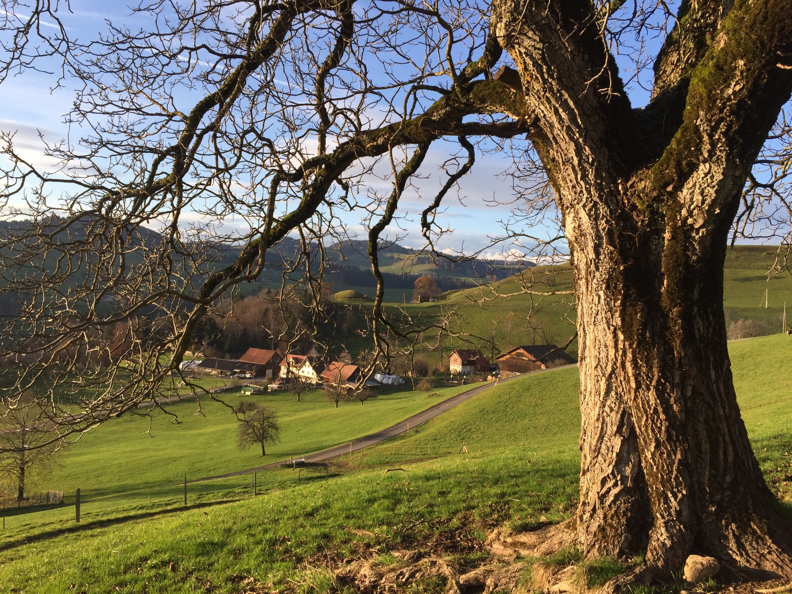 Wandersonne
