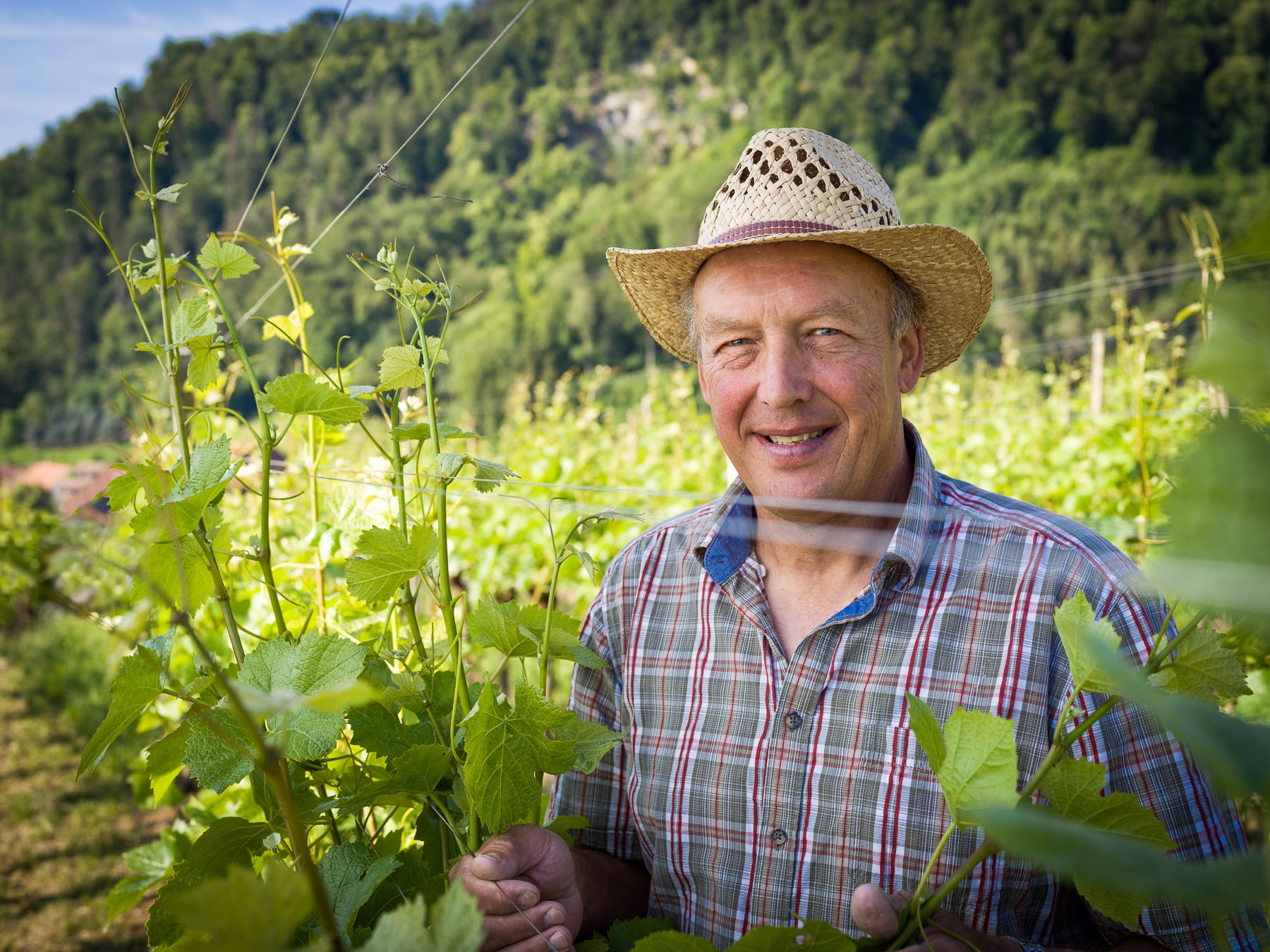 Villigen: Besserstein-Wein
