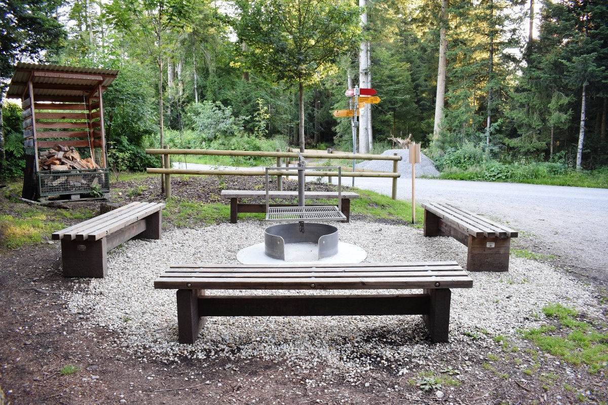 Hilferdingerwald - Ufhusen