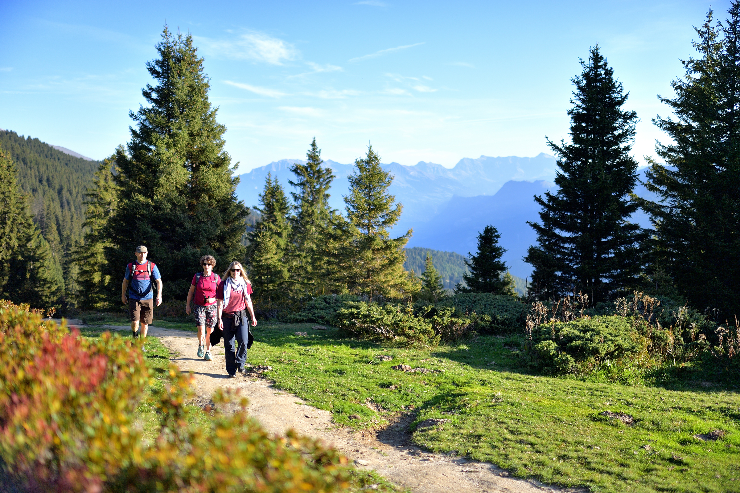 mys-Culinary tour: Pleasure hike with tobogganing fun-import_0d51874f-d954-49a8-a841-e2372ab16add.jpg