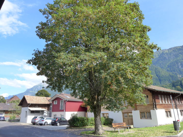 interhome-Tilia