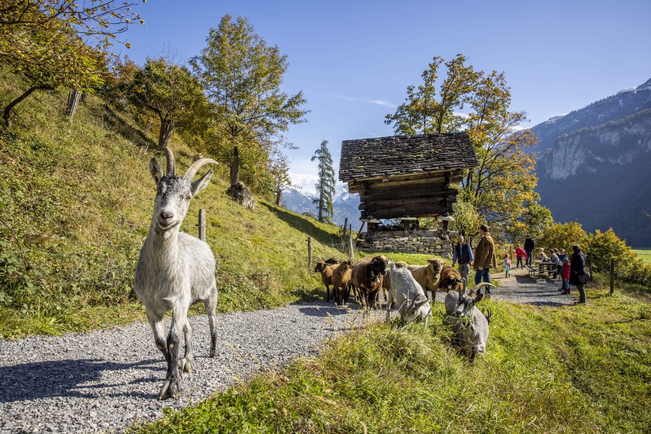 Ballenberg, Freilichtmuseum der Schweiz