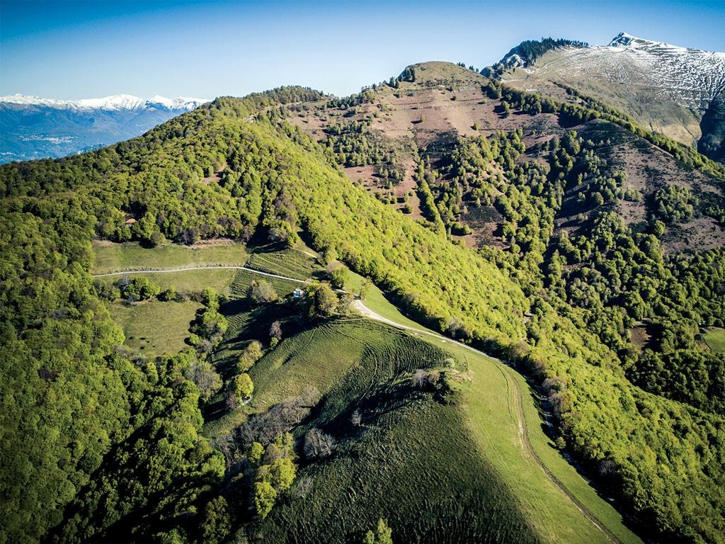 Le nevère del Monte Generoso