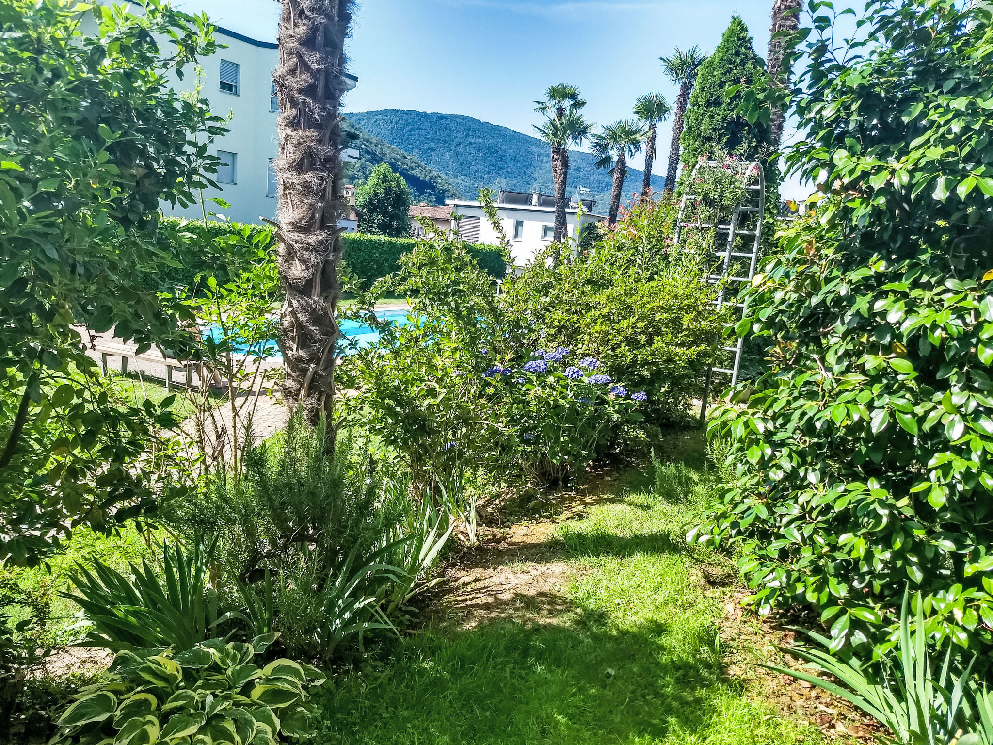 interhome-2 Zimmer Gartenwohnung mit Pool
