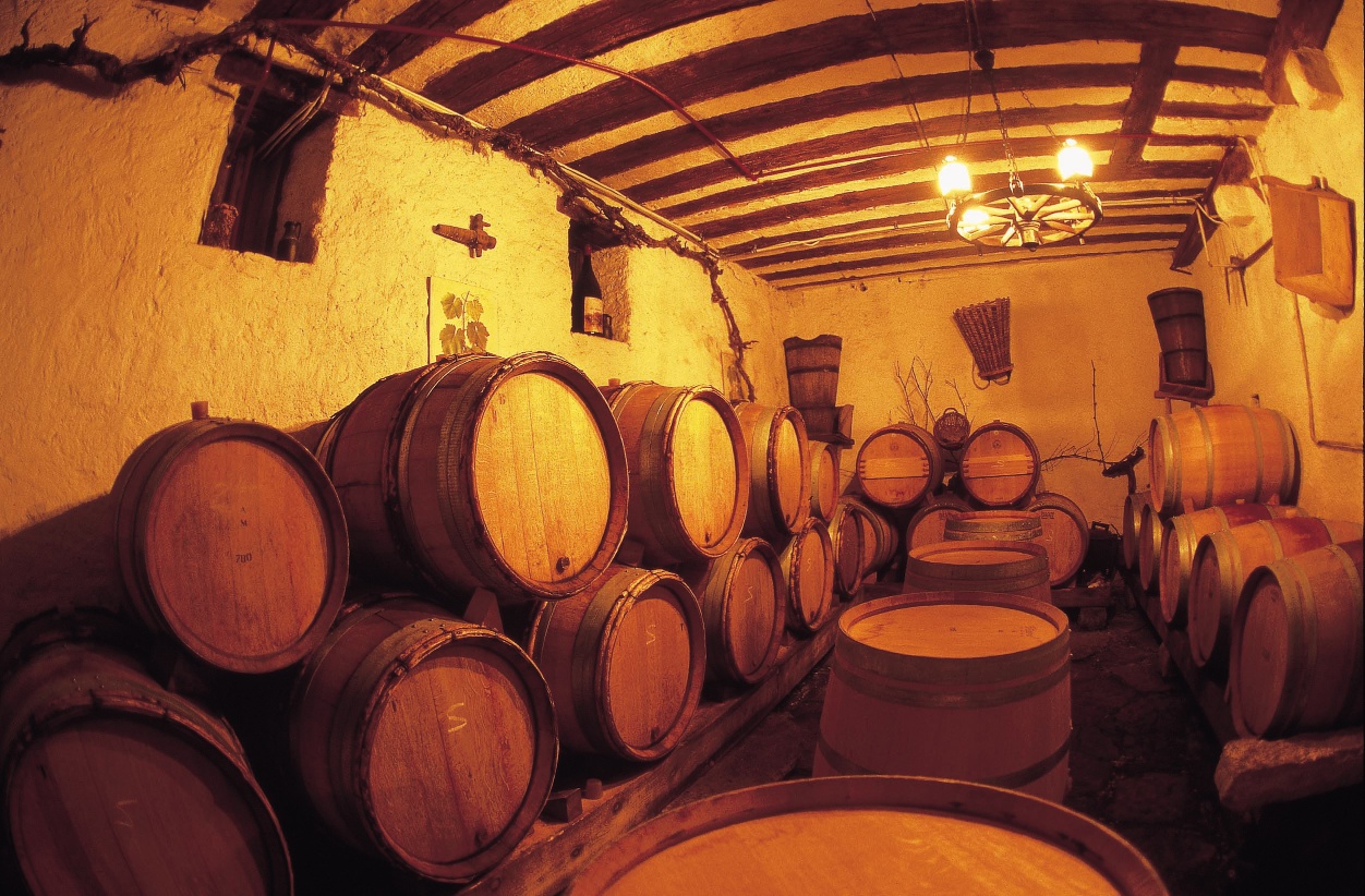 Lake of Biel wines