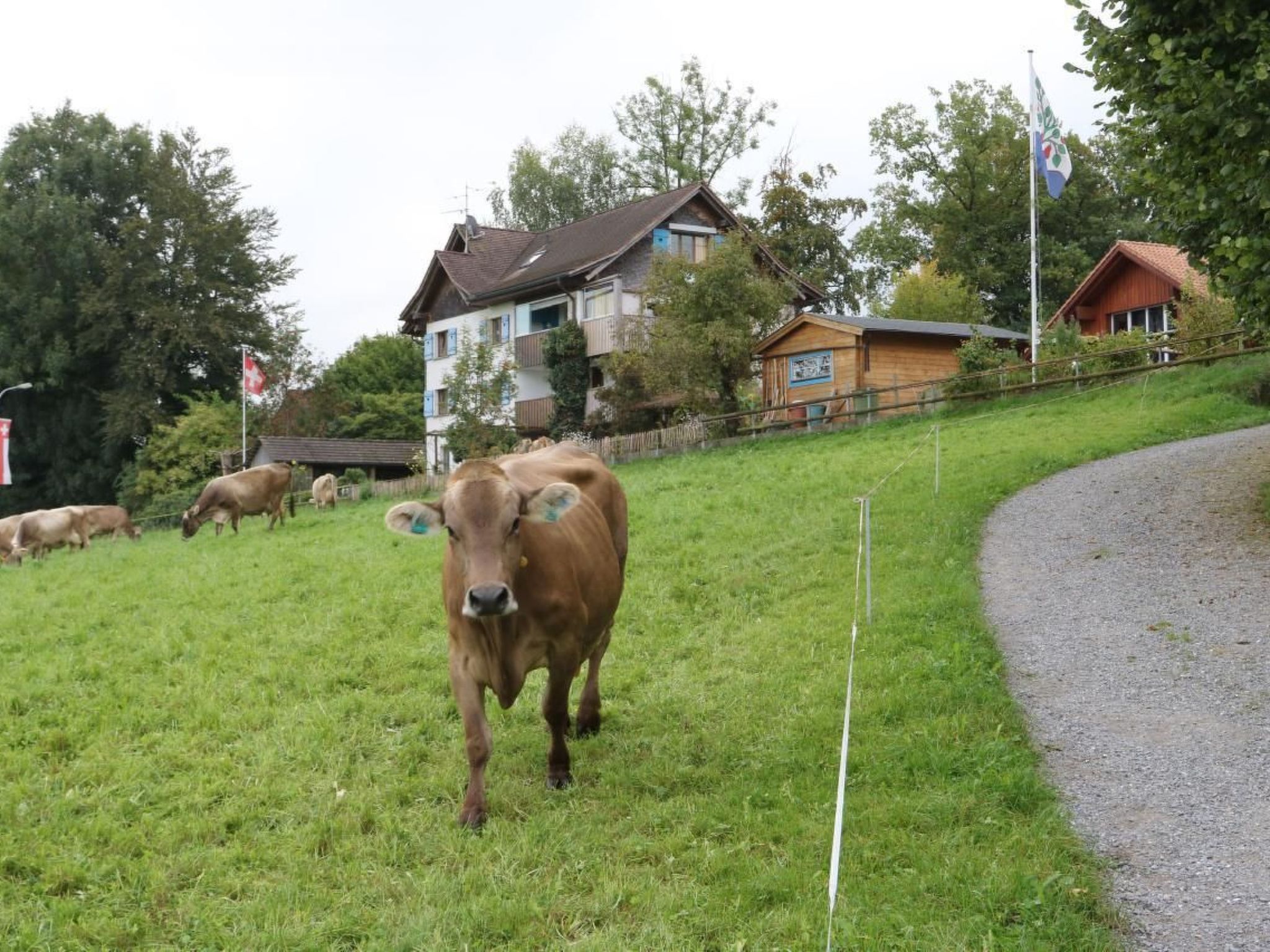 interhome-Panorama Blick