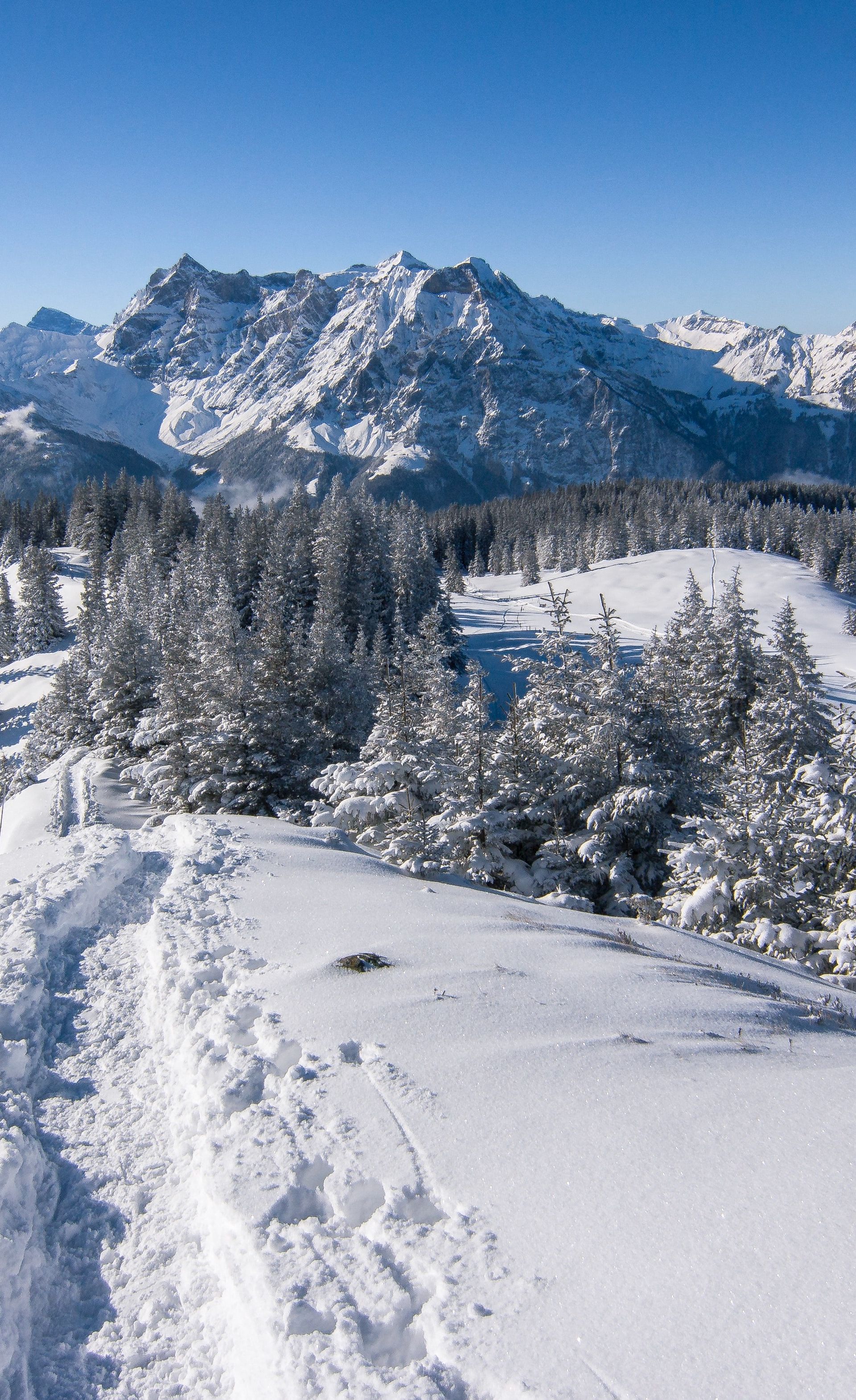 Schneeschuhwanderung