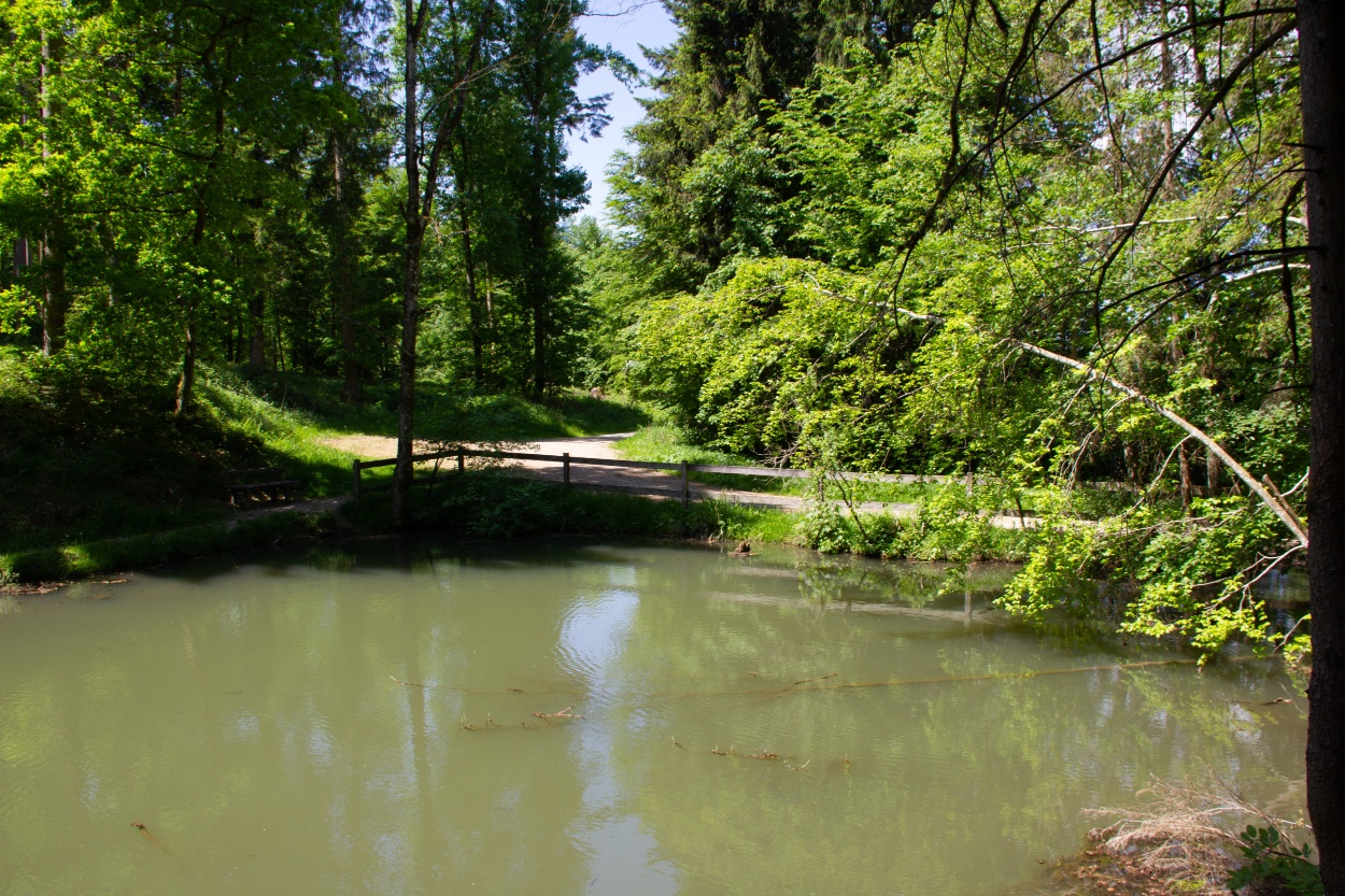 Etelweiher