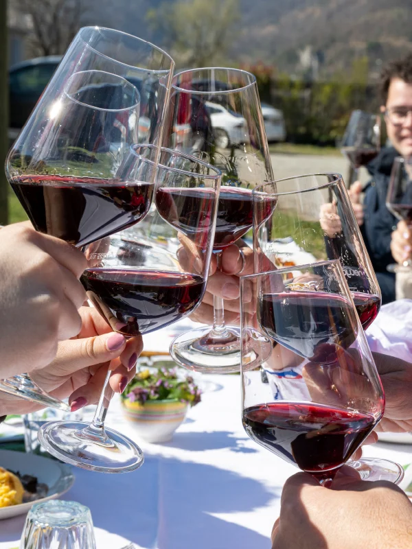 mys-Locarno – Scoprire la città, la natura e i luoghi energetici con una guida-Agarta_agriesperienza