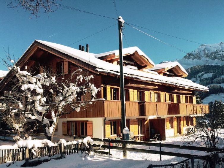 interhome-Alpine Retreat