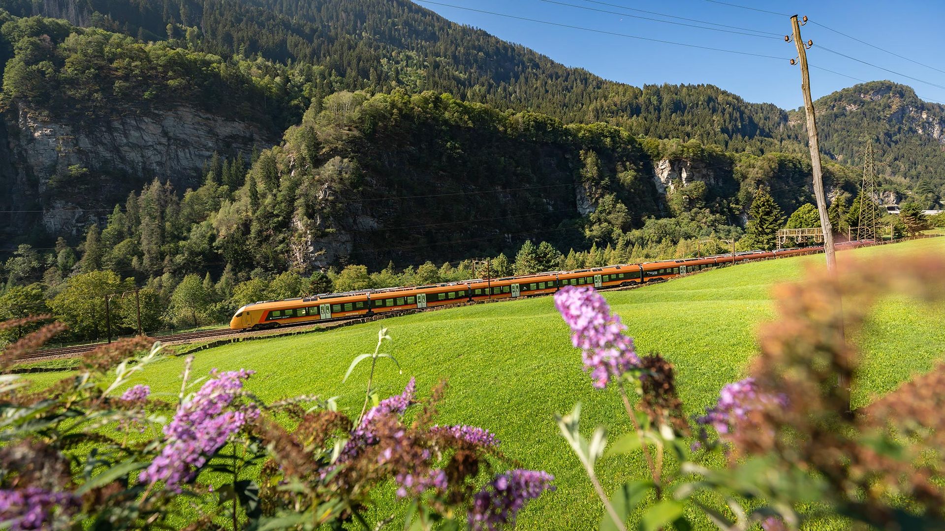 Treno Gottardo Faido