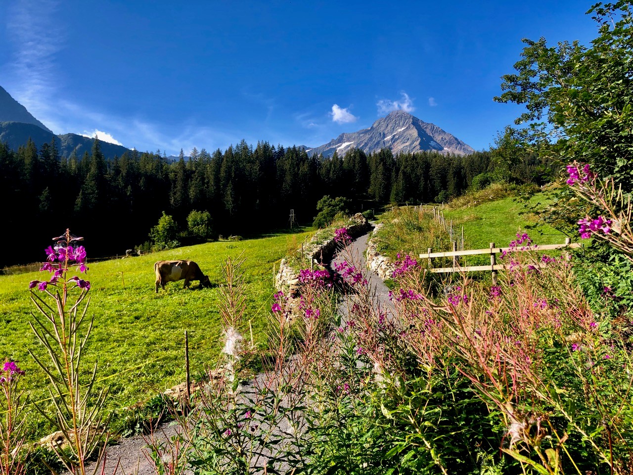 Escursione nel Canton Uri sul sentiero d'alta quota Silener Berge