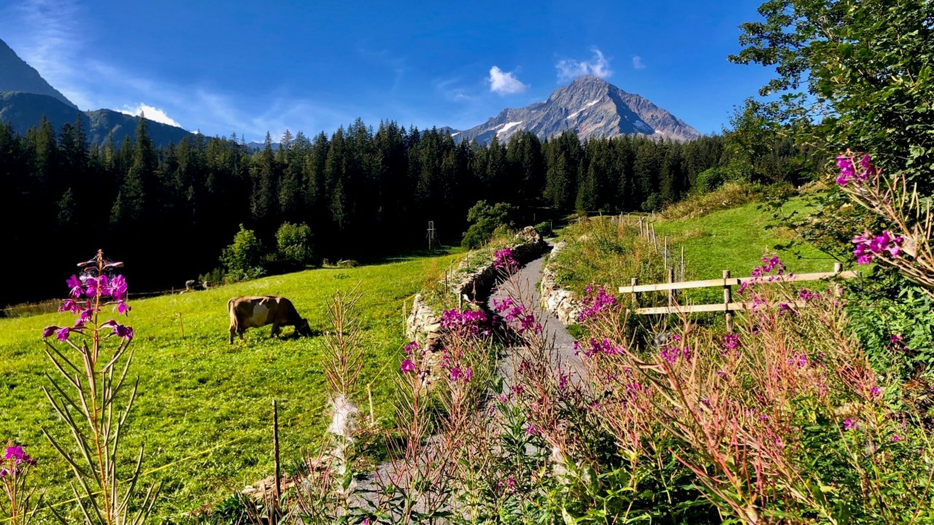 Wanderung im Kanton Uri auf dem Höhenweg Silener Berge