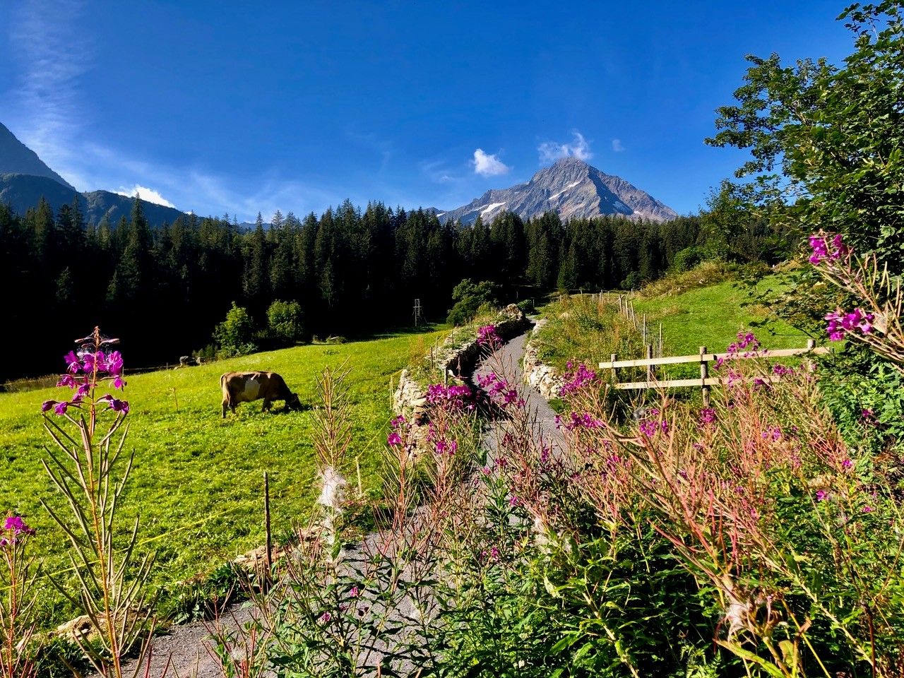 Hike in the canton of Uri on the Silener Berge high-altitude trail