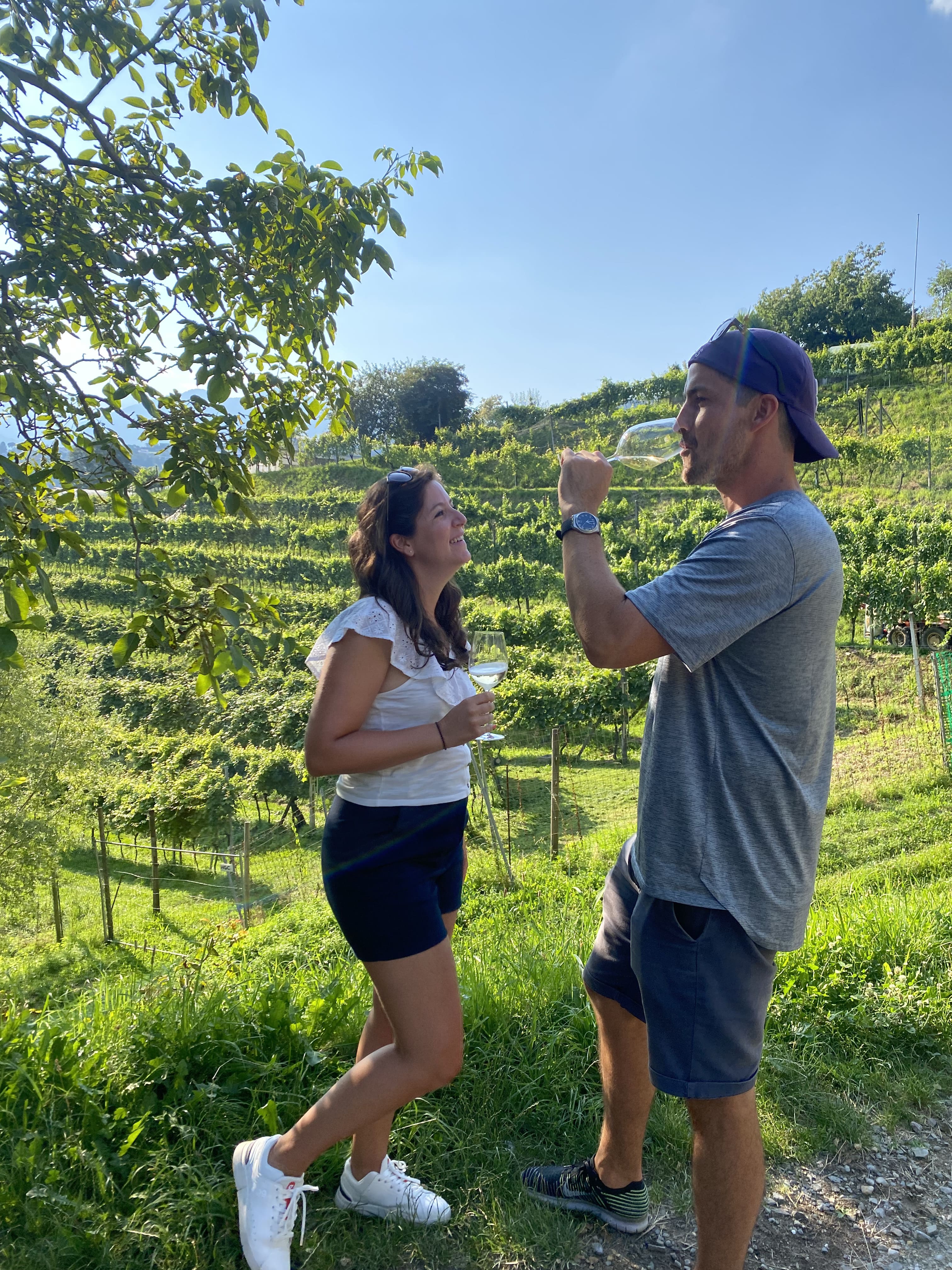 mys-Cantine Aperte in WINE UP! – Luganese e Collina d'Oro 17.05.2026-E-bike Tour