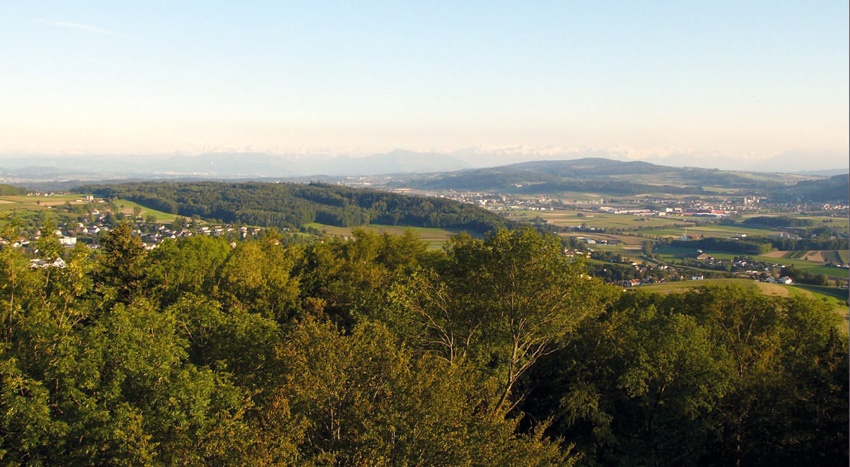 Maiengrün Turm