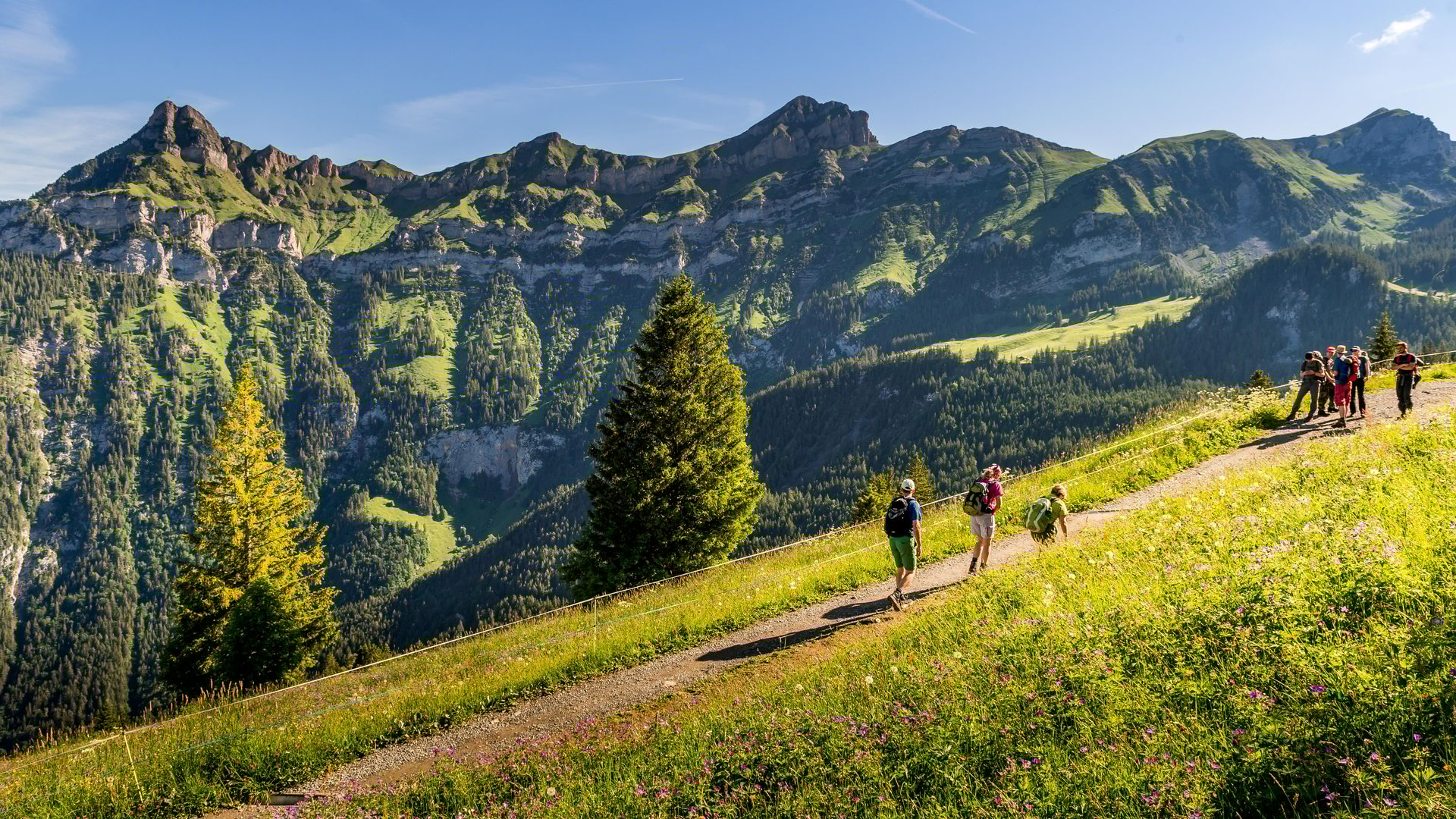 Wanderer auf dem Schächentaler Höhenweg bei Eggberge im Kanton Uri mit Blick auf die grünen Alpen und Felsen der Zentralschweiz an einem sonnigen Sommertag.
